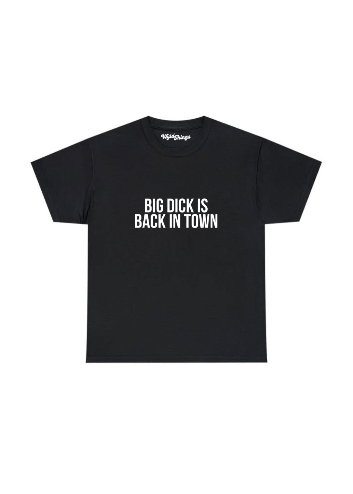 BIG DICK IS BACK IN TOWN T-SHIRT