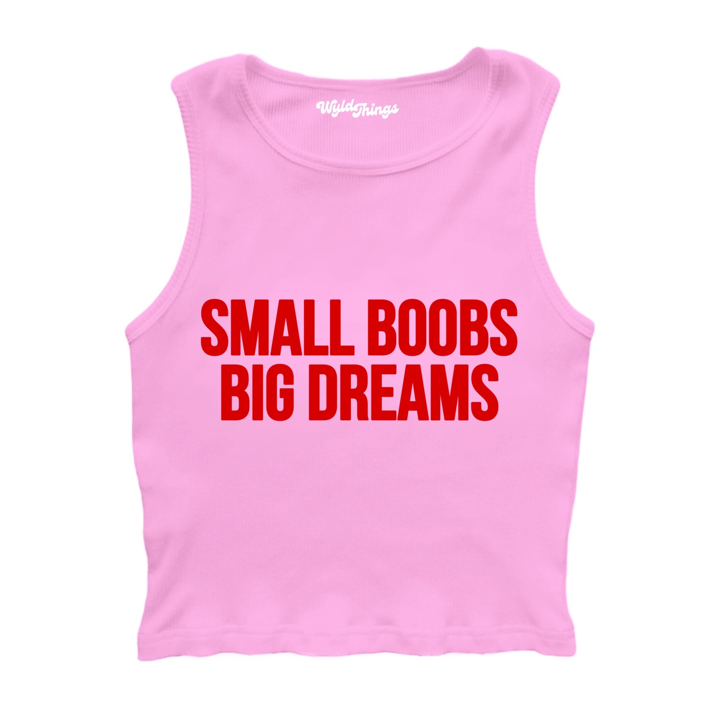 SMALL BOOBS BIG DREAMS CROPPED TANK TOP