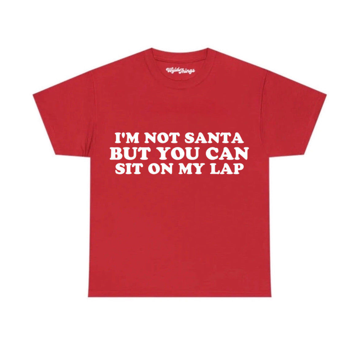 I'M NOT SANTA BUT YOU CAN SIT ON MY LAP T-SHIRT