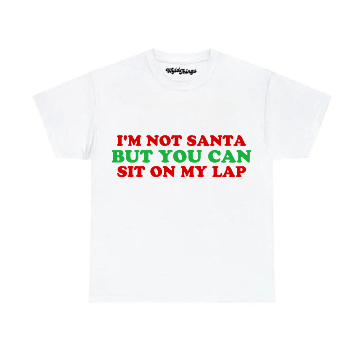 I'M NOT SANTA BUT YOU CAN SIT ON MY LAP T-SHIRT