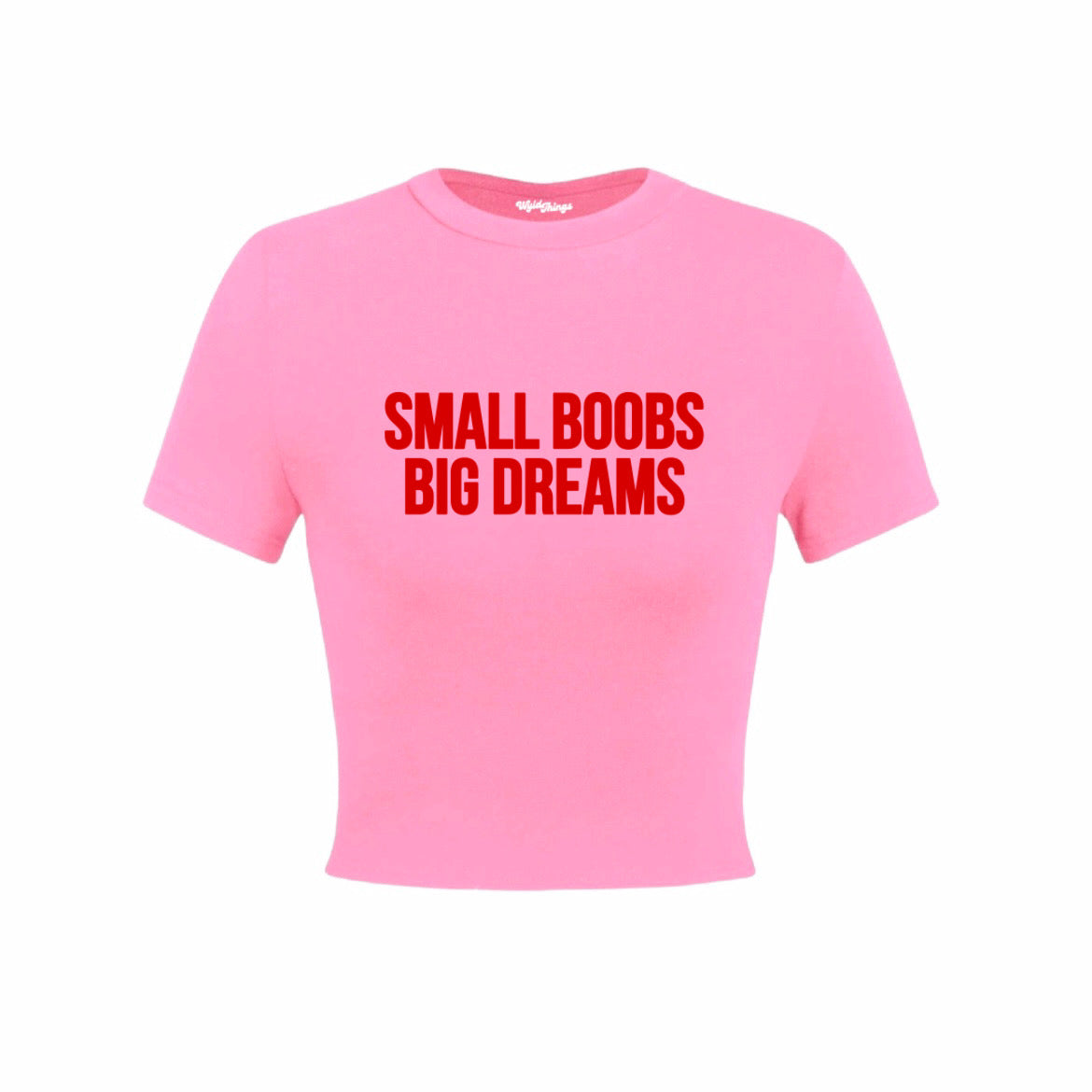 SMALL BOOBS BIG DREAMS CROP TOP