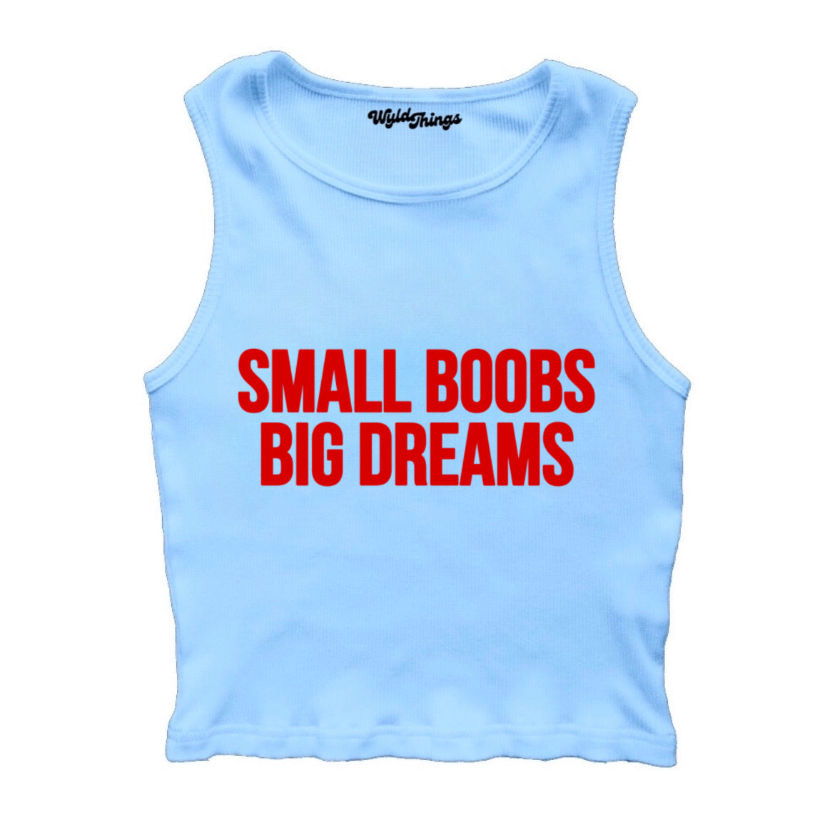 SMALL BOOBS BIG DREAMS CROPPED TANK TOP