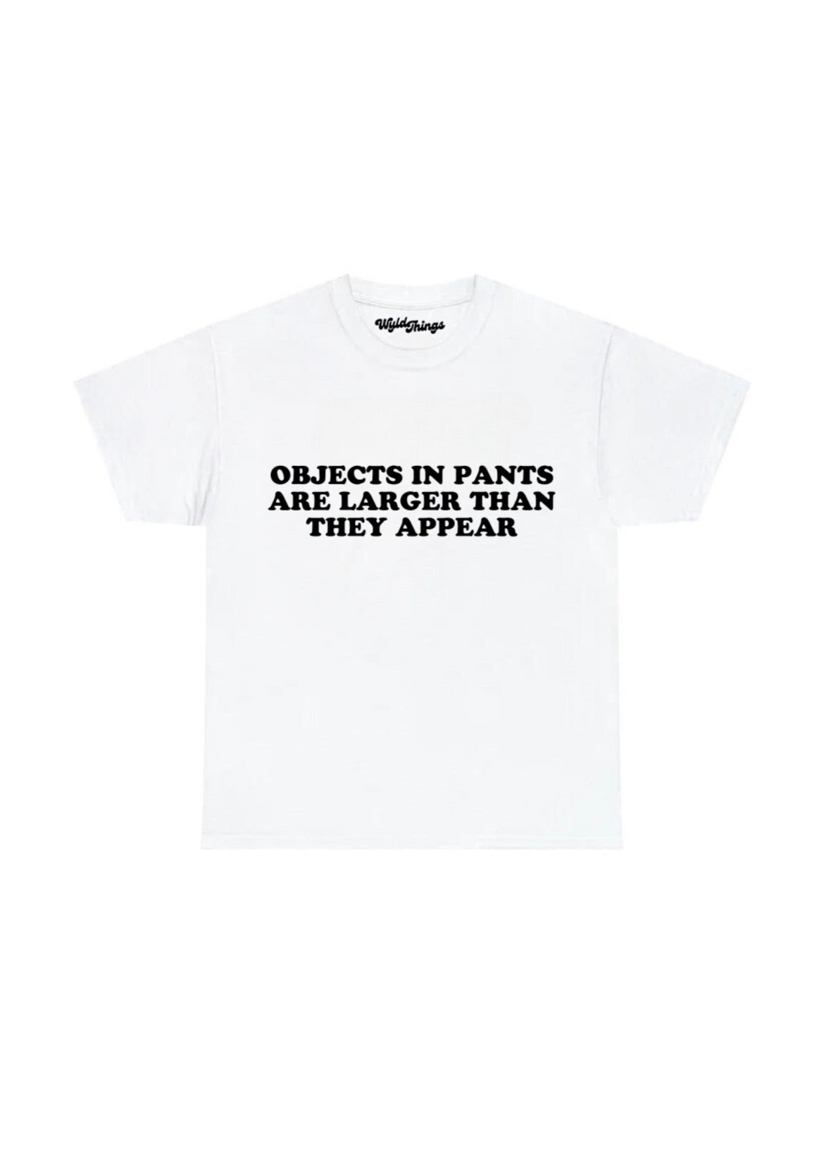 OBJECTS IN PANTS ARE LARGER THAN THEY APPEAR T-SHIRT