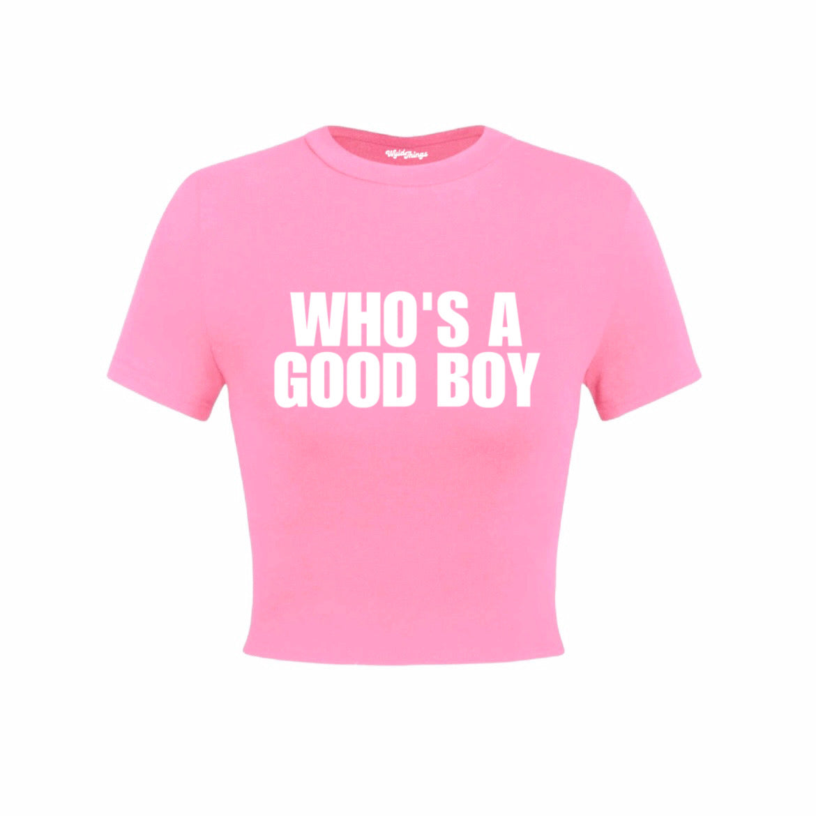 WHO'S A GOOD BOY CROP TOP