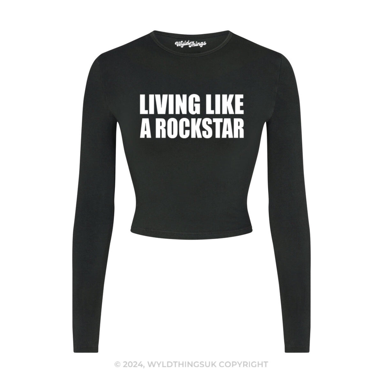 LIVING LIKE A ROCKSTAR LONG SLEEVE CROP TOP