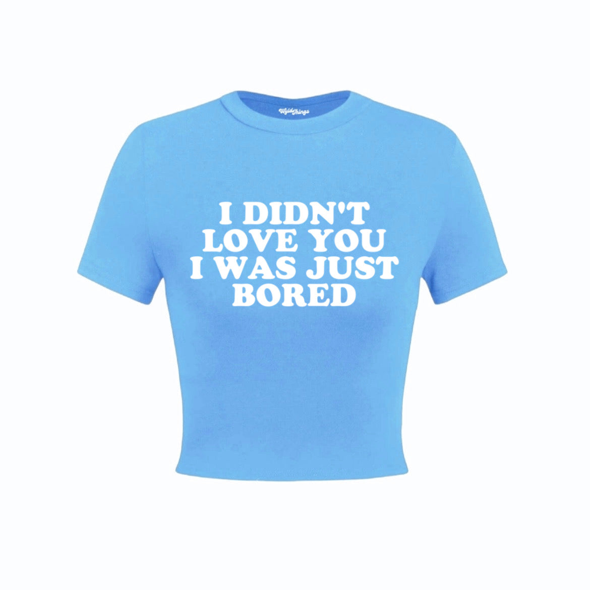 I DIDN'T LOVE YOU I WAS JUST BORED CROP TOP