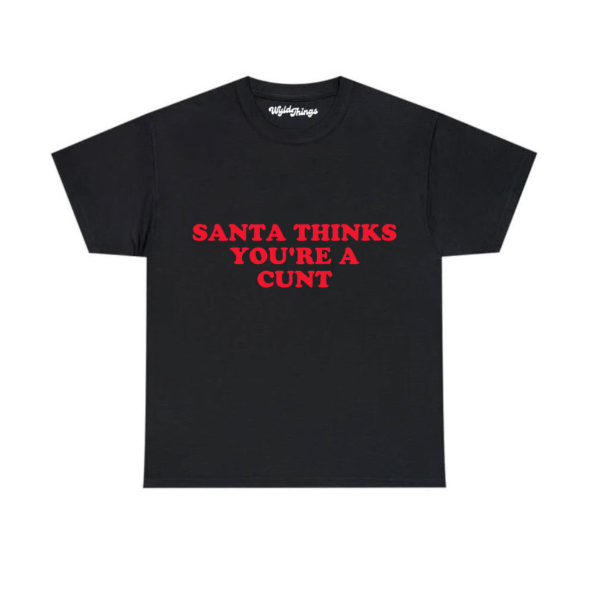 SANTA THINKS YOU'RE A C T-SHIRT