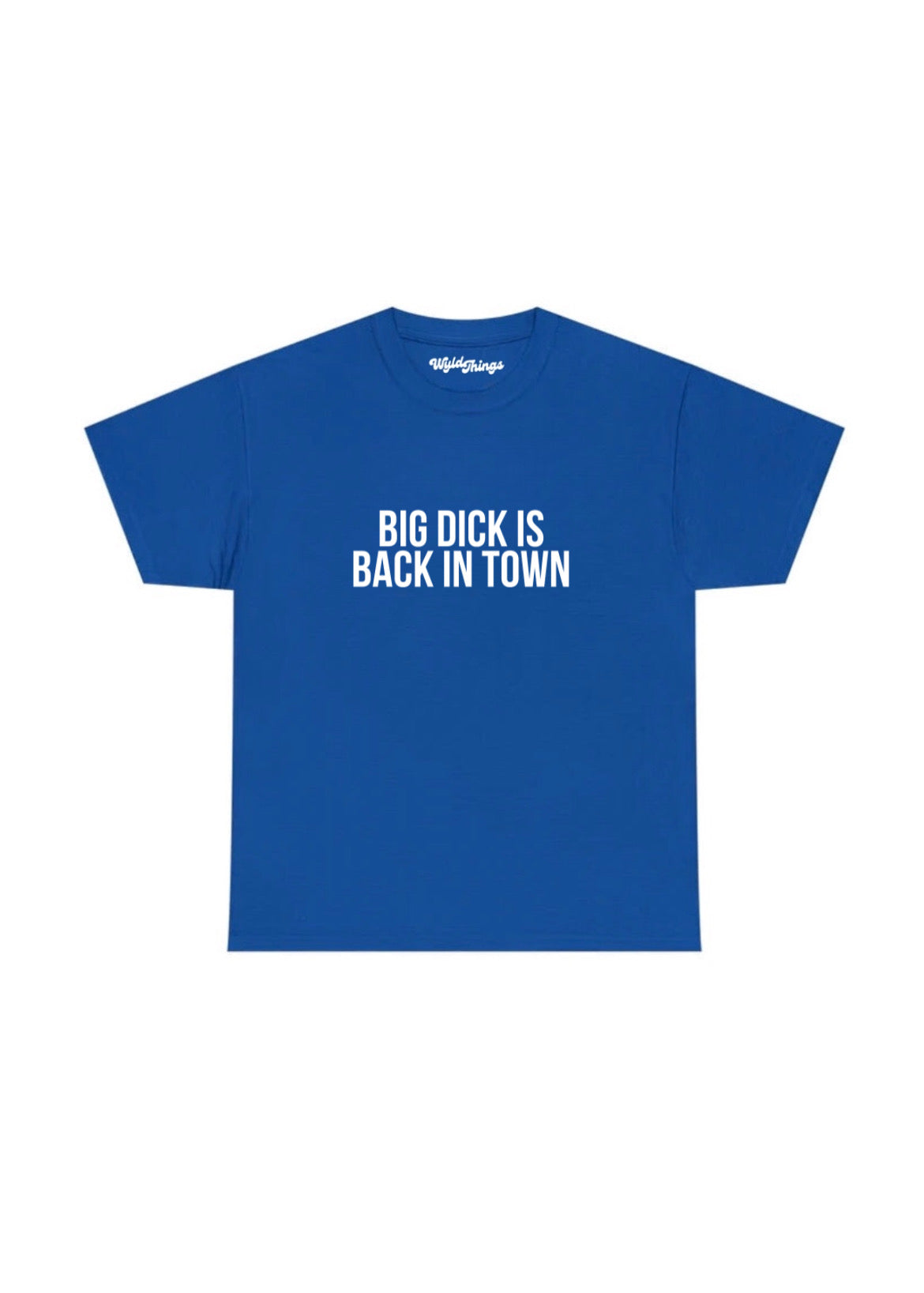 BIG DICK IS BACK IN TOWN T-SHIRT