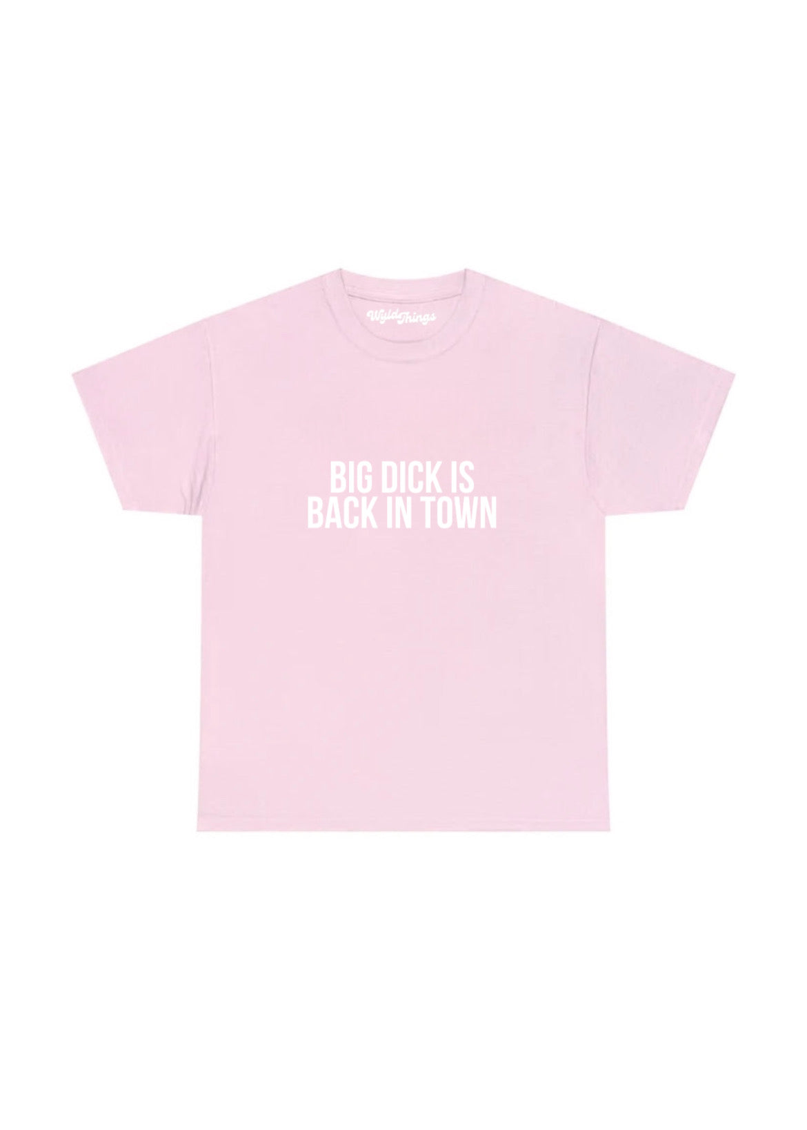 BIG DICK IS BACK IN TOWN T-SHIRT