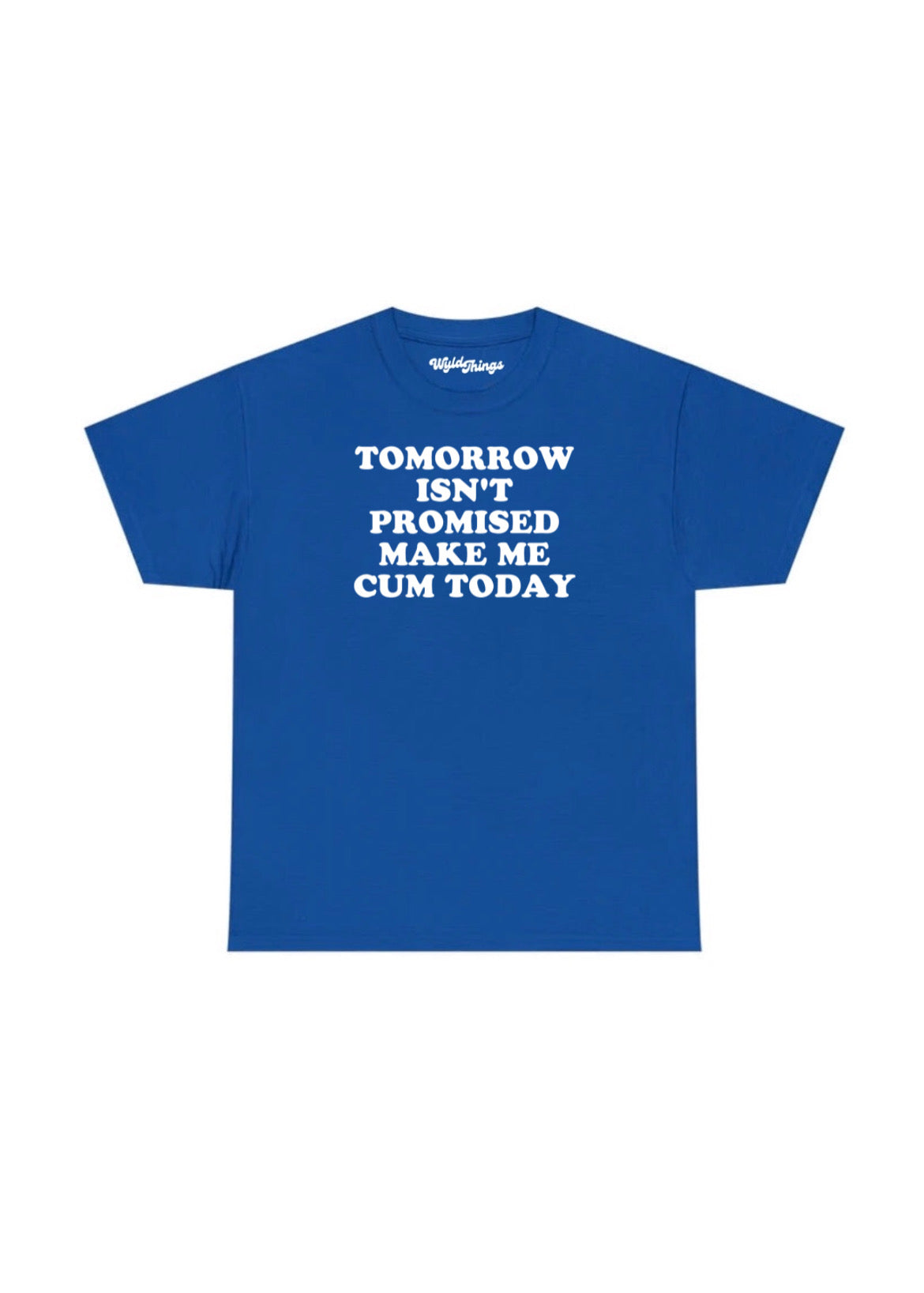 TOMORROW ISN'T PROMISED MAKE ME CUM TODAY T-SHIRT