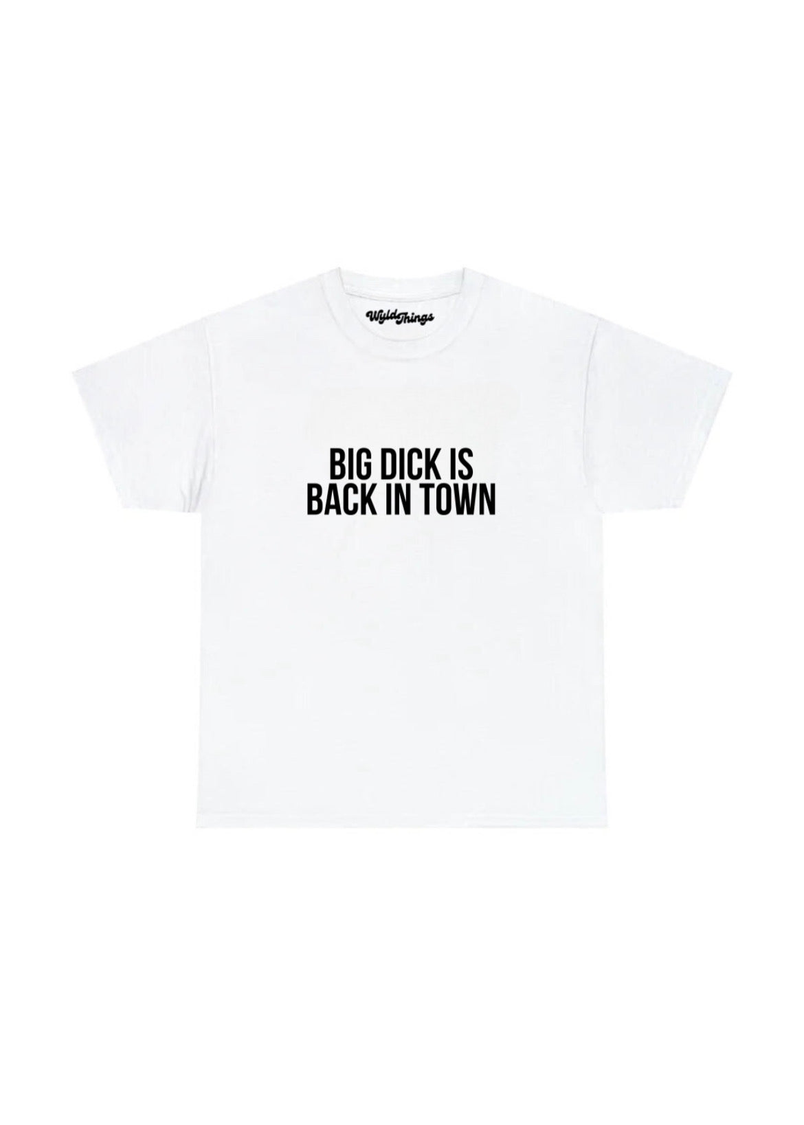 BIG DICK IS BACK IN TOWN T-SHIRT