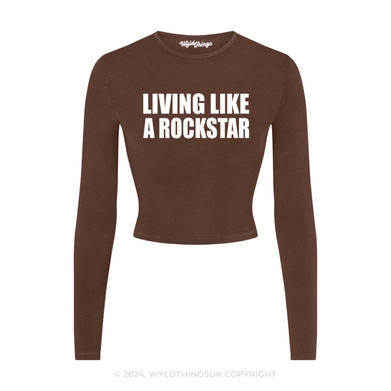 LIVING LIKE A ROCKSTAR LONG SLEEVE CROP TOP