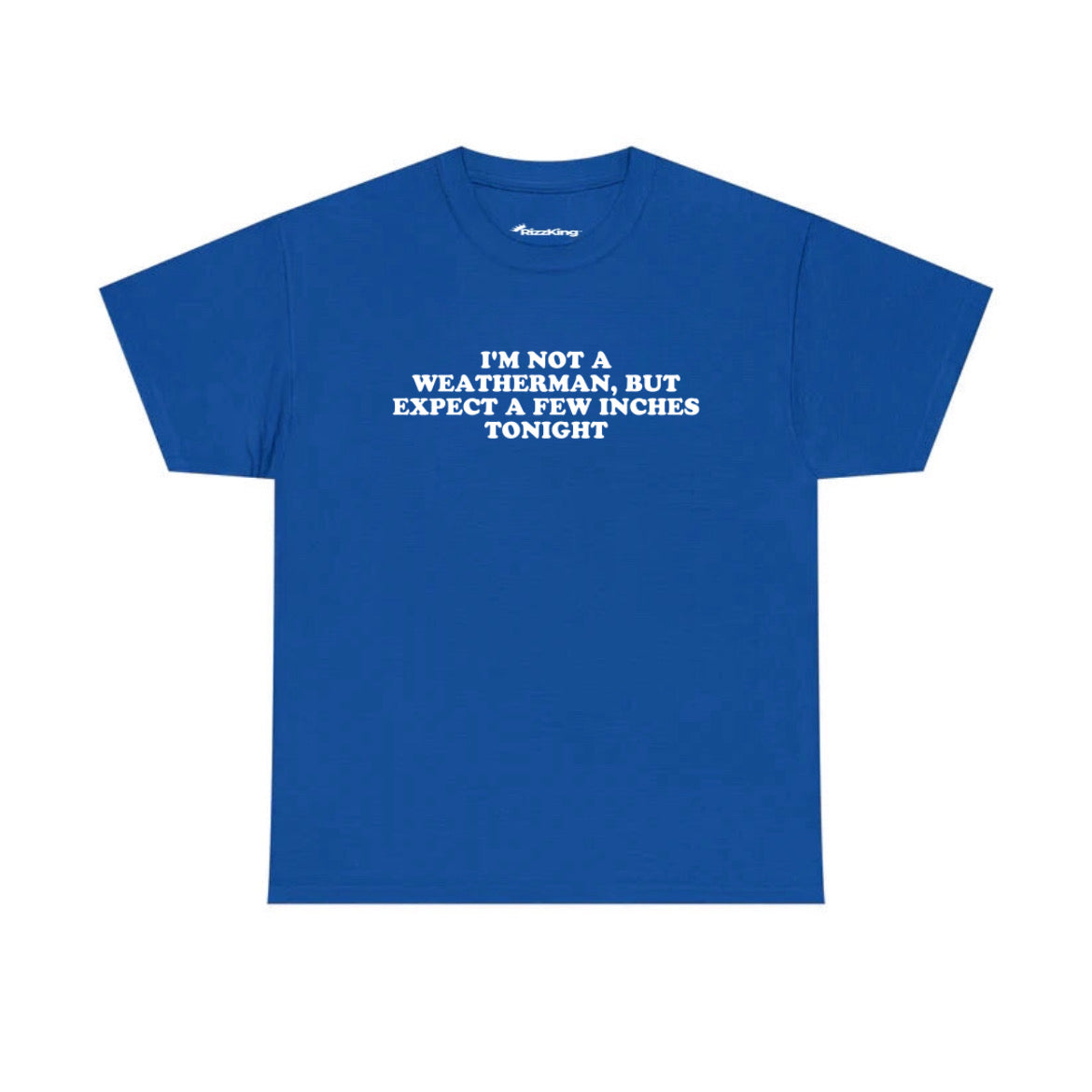 I’M NOT A WEATHERMAN T-SHIRT