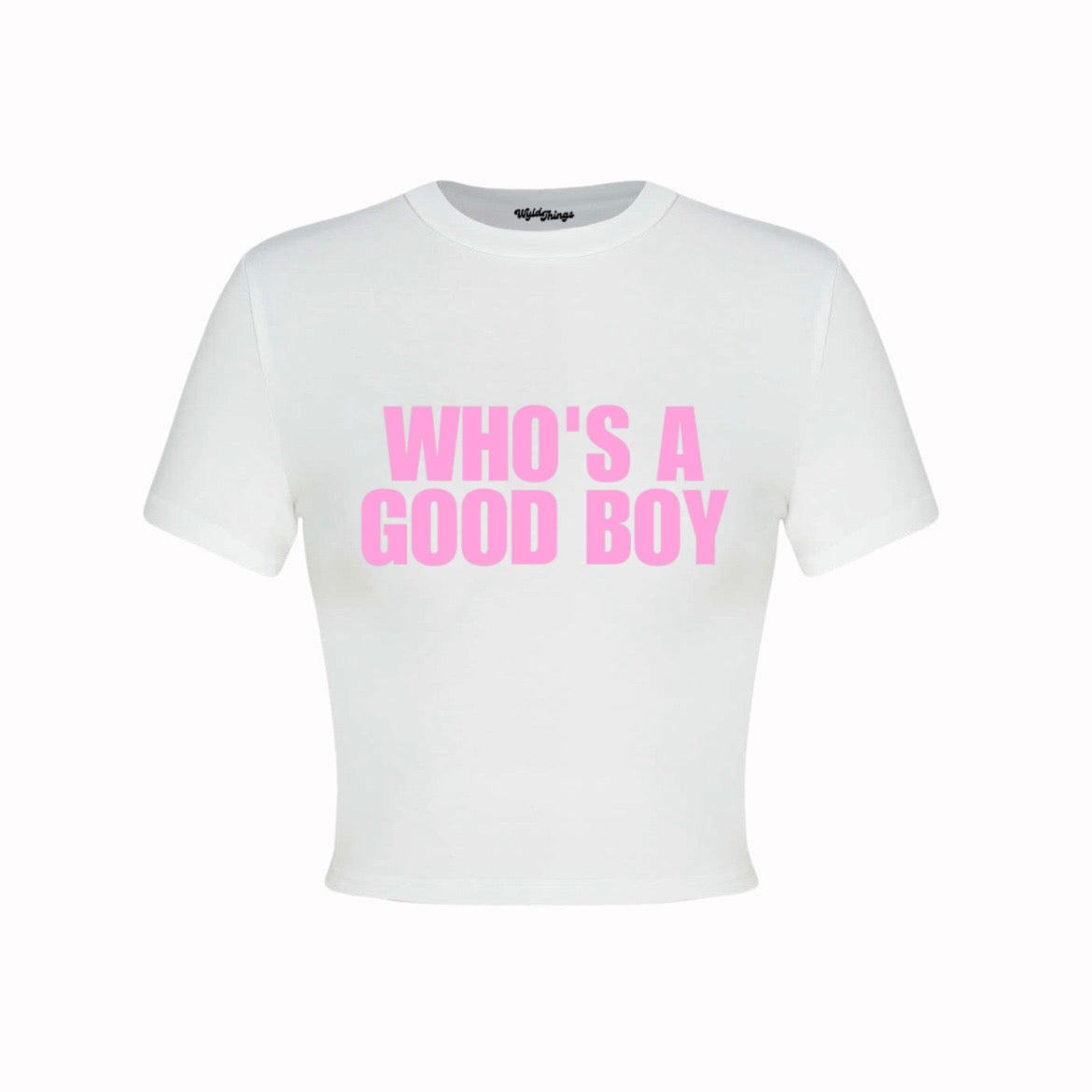 WHO'S A GOOD BOY CROP TOP