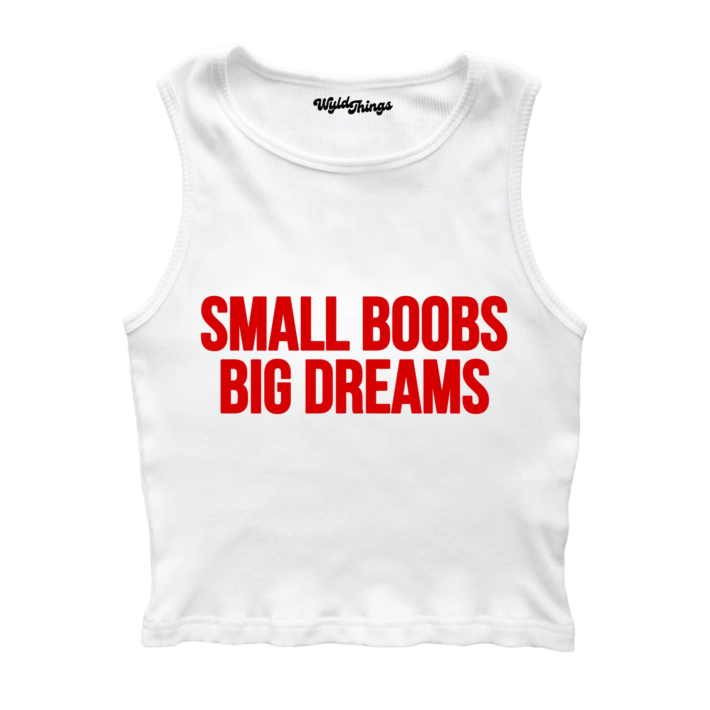 SMALL BOOBS BIG DREAMS CROPPED TANK TOP