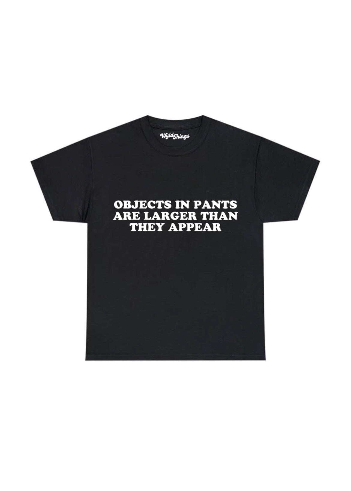 OBJECTS IN PANTS ARE LARGER THAN THEY APPEAR T-SHIRT