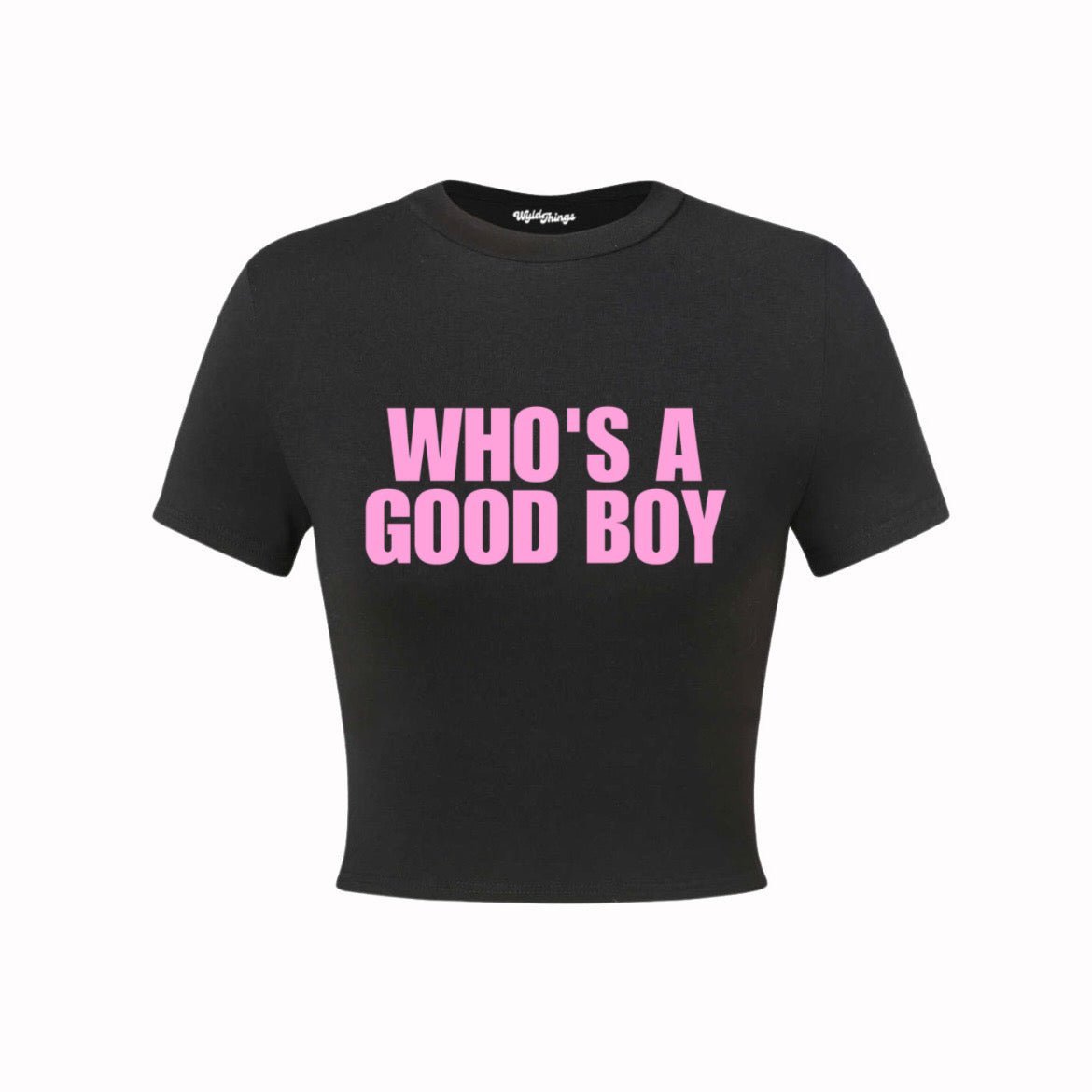 WHO'S A GOOD BOY CROP TOP