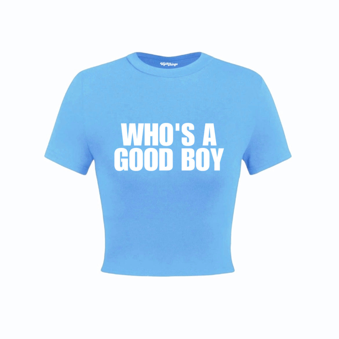 WHO'S A GOOD BOY CROP TOP