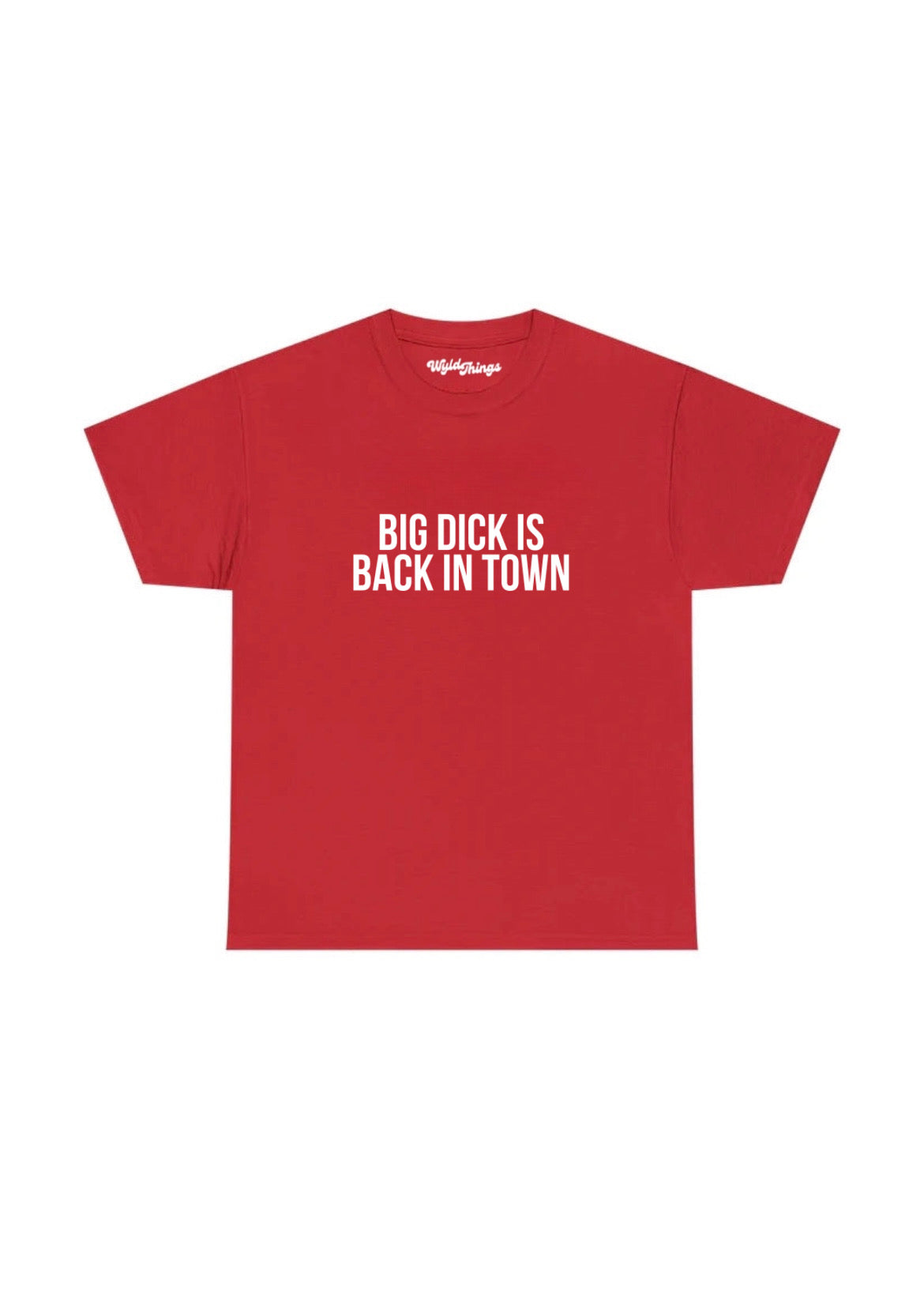 BIG DICK IS BACK IN TOWN T-SHIRT