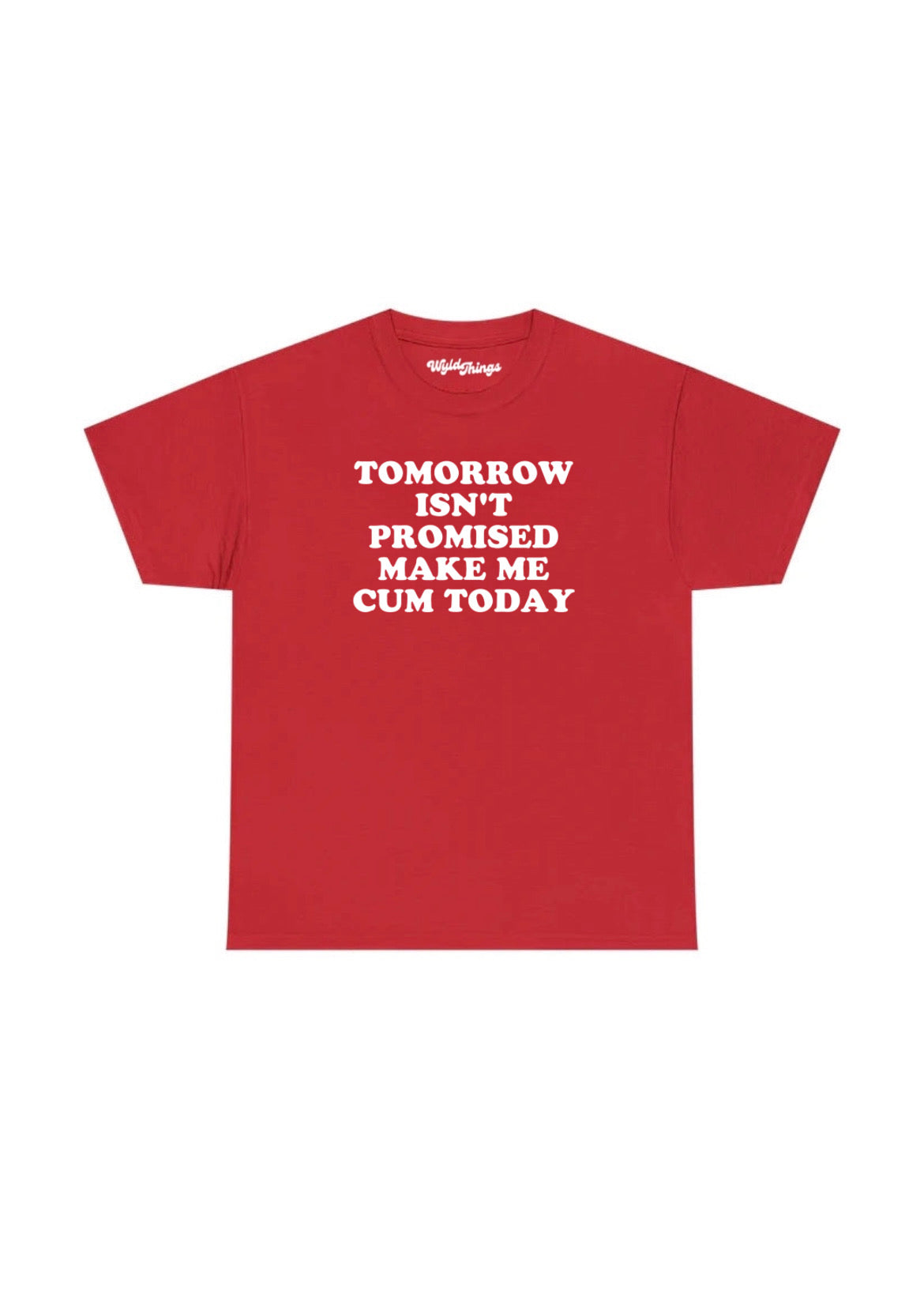 TOMORROW ISN'T PROMISED MAKE ME CUM TODAY T-SHIRT