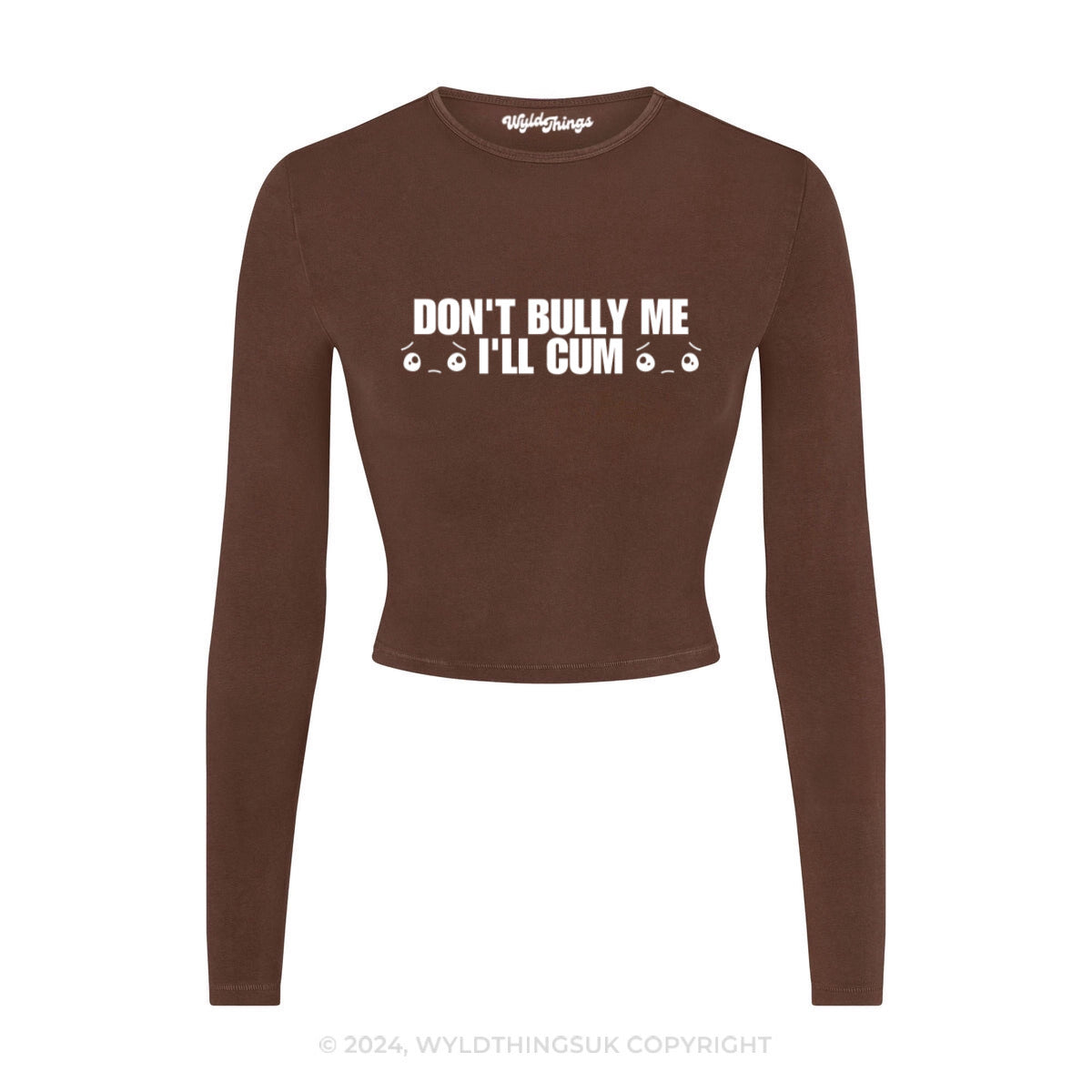 DON'T BULLY ME I'LL CUM LONG SLEEVE CROP TOP