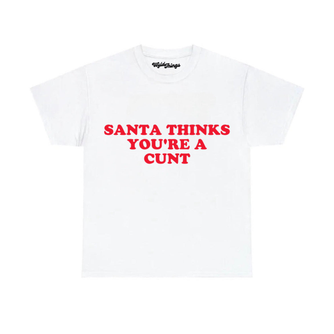 SANTA THINKS YOU'RE A C T-SHIRT