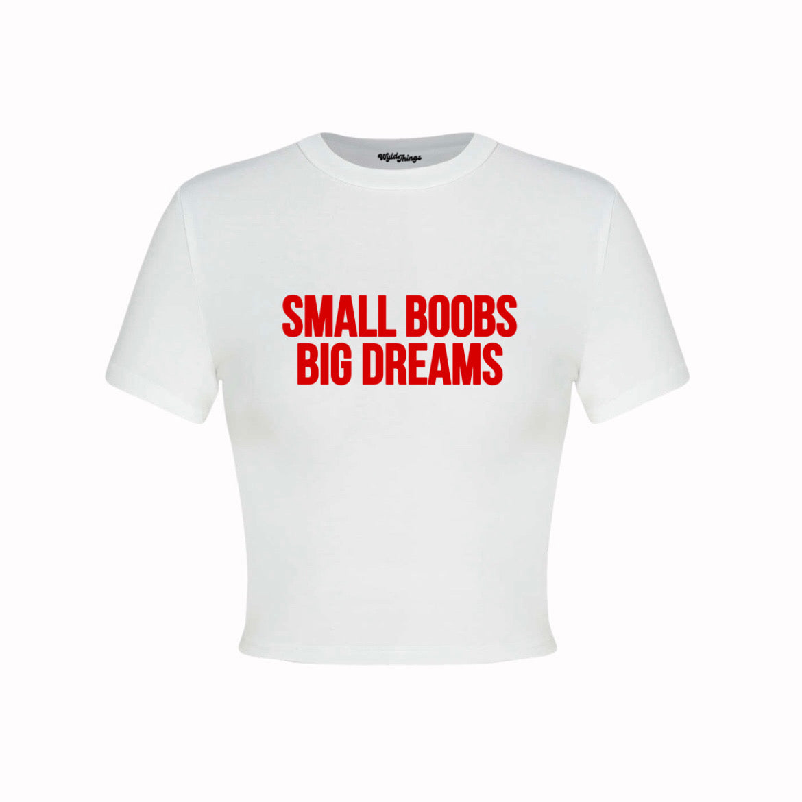 SMALL BOOBS BIG DREAMS CROP TOP